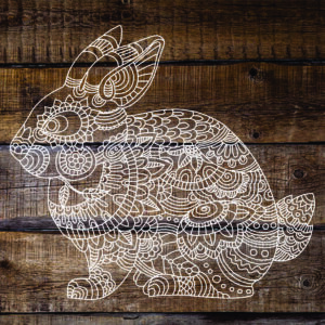 Paint Bunny