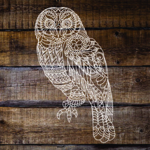 Paint Owl